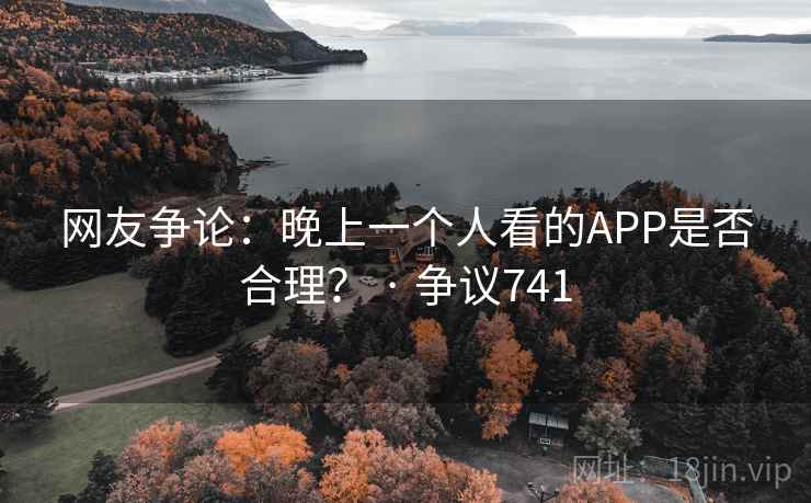 网友争论：晚上一个人看的APP是否合理？ · 争议741  第1张